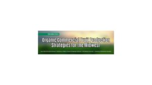 Organic Commercial Fruit Production Strategies for the Midwest: Marketing for Organic Fruit