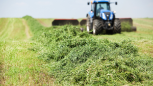 Alfalfa quality monitoring project to begin: Fields Needed! 