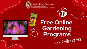 Pollinator Week Programs